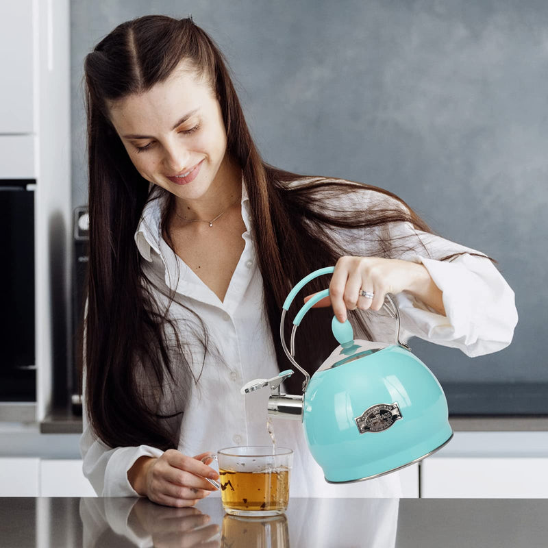 Whistling Tea Kettle Stainless Steel Teapot, Teakettle for Stovetop Induction Stove Top, Fast Boiling Heat Water Tea Pot 2.6 Quart Blue
