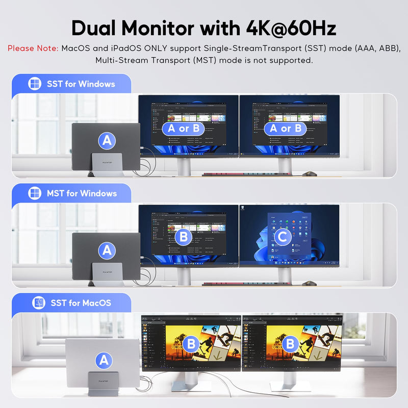 Laptop Docking Station Dual Monitor, 11 in 1 Vertical USB C Dock Stand with 2 HDMI 4K 60Hz, 3 USB A/C 10Gbps, 2 USBA 5Gbps, USB-A 2.0, Ethernet, PD 3.0 Docking Station for Type-C Laptops Grey