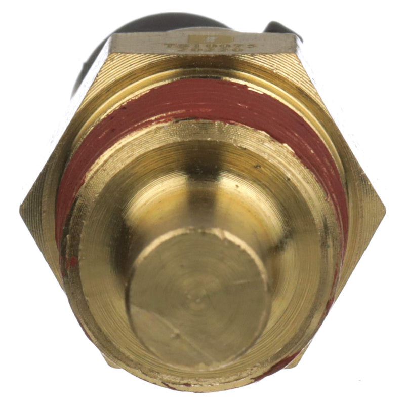 Delphi TS10075 Coolant Temperature Sensor