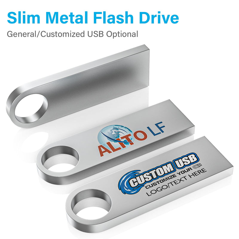 ABLAZE 2GB Flash Drive 10 Pack, Metal USB 2.0 Thumb Drives with Keychains USB Sticks Pendrives (Sliver)