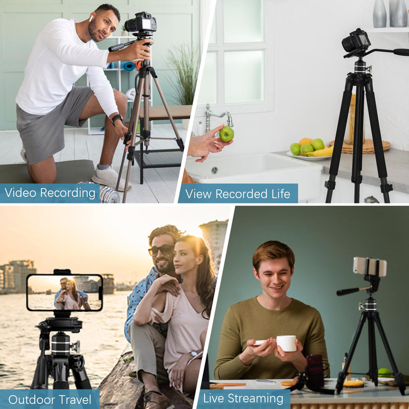 2pcs Mini Ball Heads Universal Metal Tripod Ball Head Camera Screw Mount for Trail- Action- Security Cameras, Loads to 10lbs, Silver 2