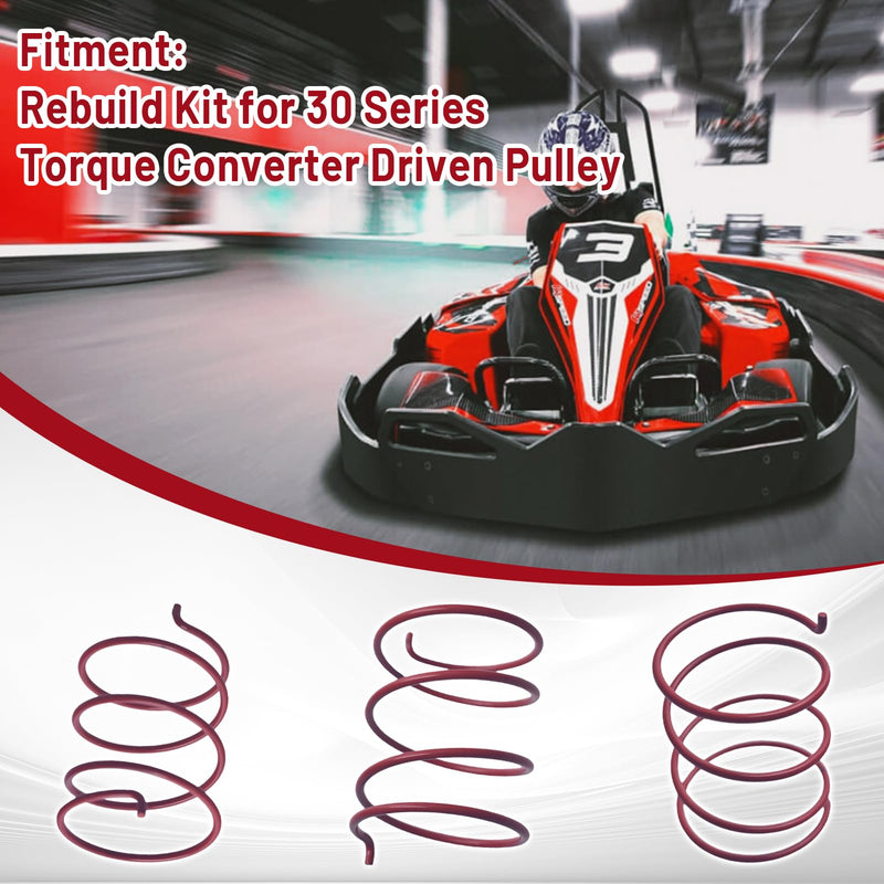 Rebuild Kit for 30 Series Torque Converter Driven Pulley