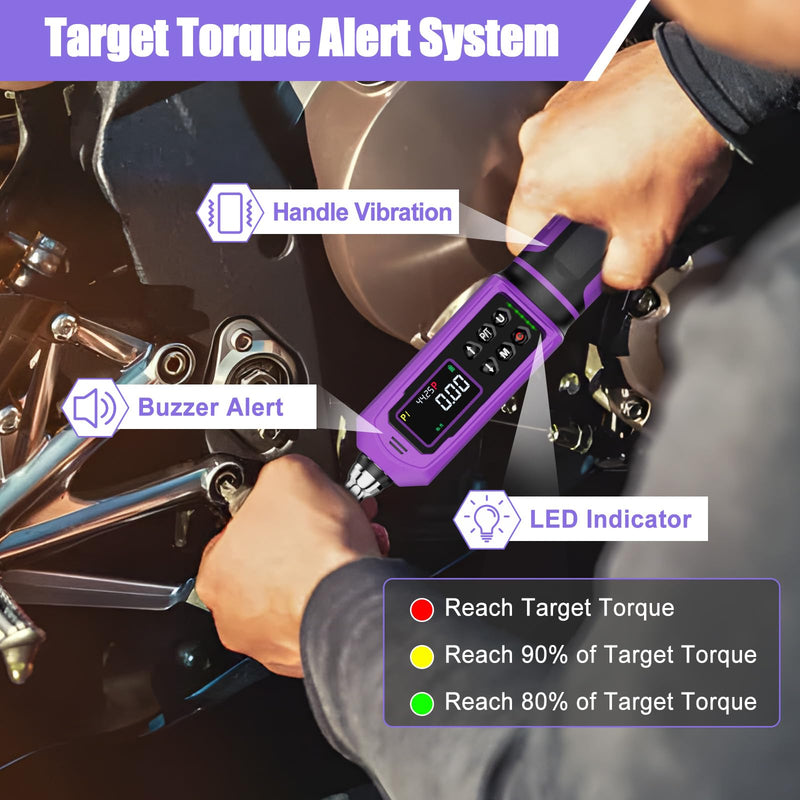 ANPUDS Digital Torque Wrench, ±1% Accuracy, 0.66-44.25 Ft-lb | 3/8 Drive Dual Direction Ratchet Electric Torque Wrench, Vibration/Buzzer/LED Flash Alert, for Bike Motorcycle & Automotive