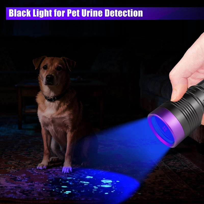 WINDFIRE 365nm UV Flashlight, Rechargeable Blacklight Flashlights Powerful, Adjustable Focus Black Light for Pet Urine Detection, Resin Curing, Rocks, Scorpions, Blood Tracking, Uranium Glass