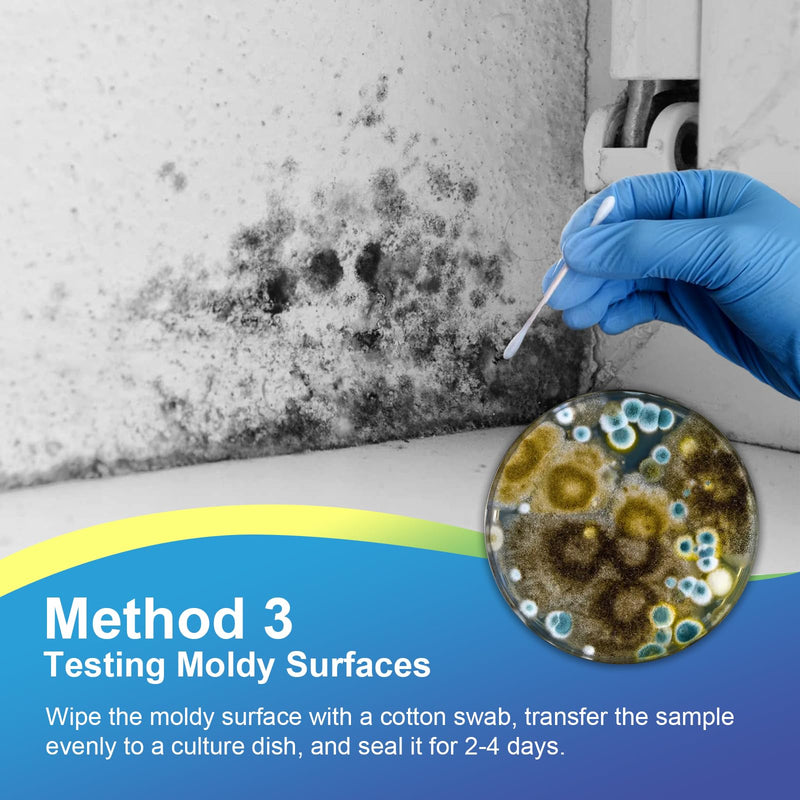 Mold Test Kit for Home- DIY Mold Detector for Home, 6 at Home Mold Air Test Kits - Test HVAC、 Home Surfaces、Indoor Air Quality, Easy Black Mold Testing Kit Includes Detailed Mold Identification Guide 6 pack