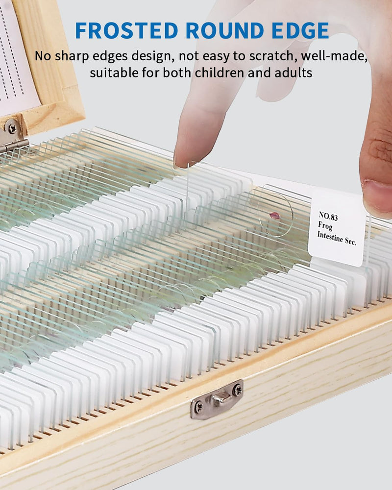 120-Pcs Microscope Slides with Specimens,Plant, Animal, Algae,etc,Educational Microscope Slides and Covers for Young Scientists,Perfect for Biology Class and Experiments 120pcs