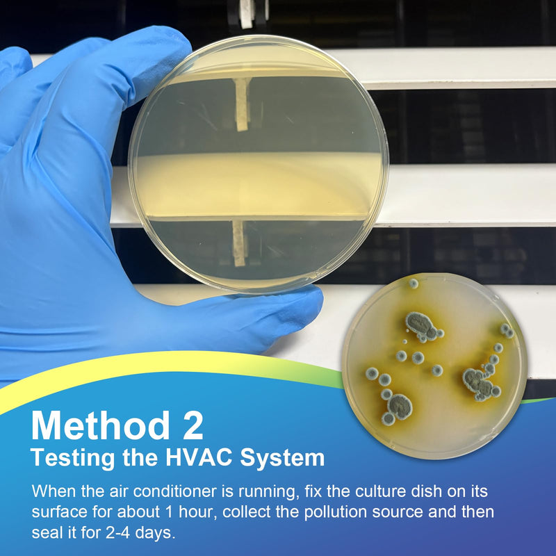 Mold Test Kit for Home- DIY Mold Detector for Home, 6 at Home Mold Air Test Kits - Test HVAC、 Home Surfaces、Indoor Air Quality, Easy Black Mold Testing Kit Includes Detailed Mold Identification Guide 6 pack
