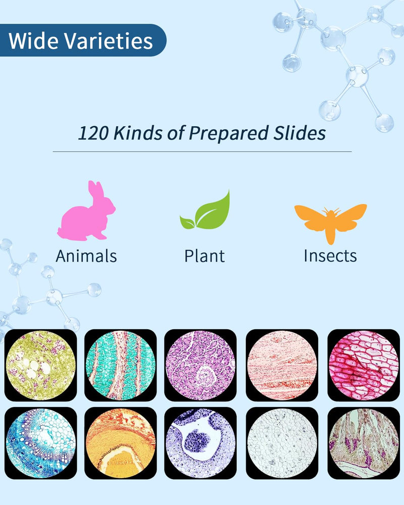 120-Pcs Microscope Slides with Specimens,Plant, Animal, Algae,etc,Educational Microscope Slides and Covers for Young Scientists,Perfect for Biology Class and Experiments 120pcs