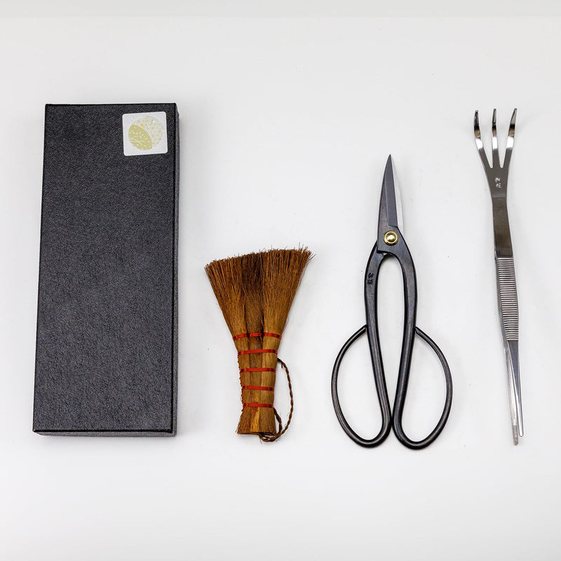 Wazakura Japanese Bonsai Garden 3PCS Tool Starter Kit, Made in Japan, Ashinaga Bonsai Scissors, Stainless Tweezers with Rake, Chinese Broom. Beginner Set with Shears, Tweezers and Soil Brush 3PCS Bonsai Set with Ashinaga Scissors