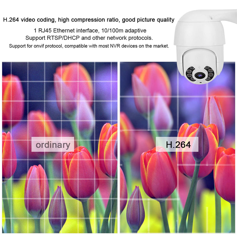2In PTZ Dome Camera 1080P 8 Lights with 110 240V Remote Control Multiplayer Shared Motion Detection Smart Camera for Home Office