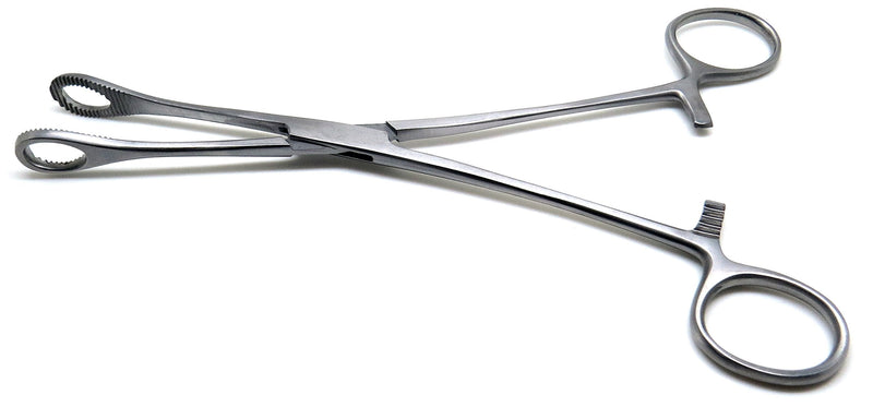 Foerster Sponge Forceps 9.5" Straight Serrated Surgical Holding Veterinary Instruments
