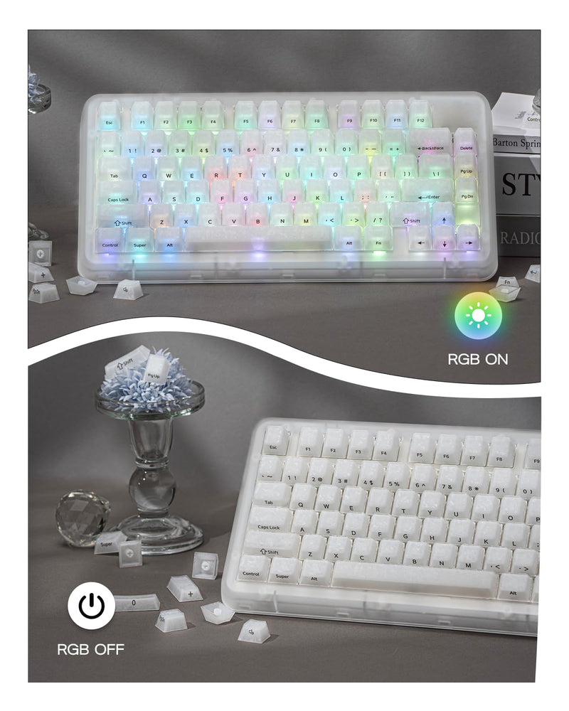 EPOMAKER Frost Jelly Keycaps Set, 126 Keys Forged Carbon Fiber Keycaps | Cherry Profile, ABS+PC, MX-Style Compatible for 61/68/84/87/98/100/104/108 ANSI Layout Mechanical Gaming Keyboards (White) White