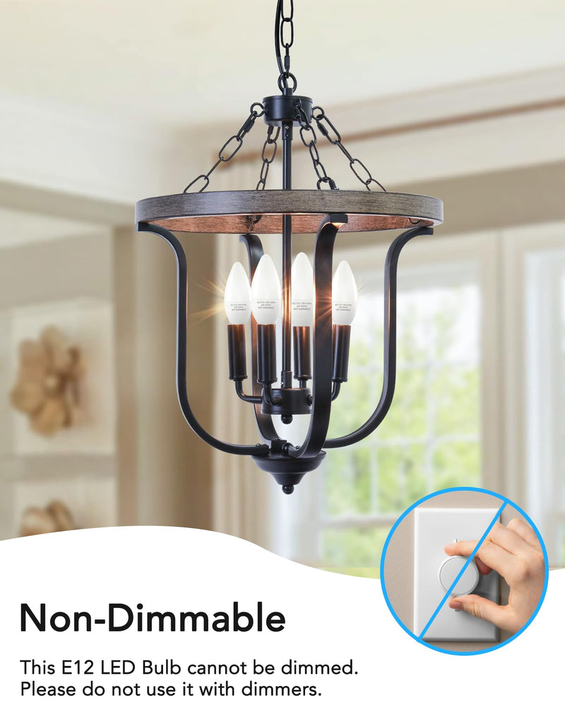 PARTPHONER E12 LED Light Bulbs B11 Candelabra Bulbs 60W Equivalent, Non-Dimmable 6W LED Candle Chandelier Bulb 600 Lumen, 5000K Daylight White, Pack of 24 24 Count (Pack of 1)