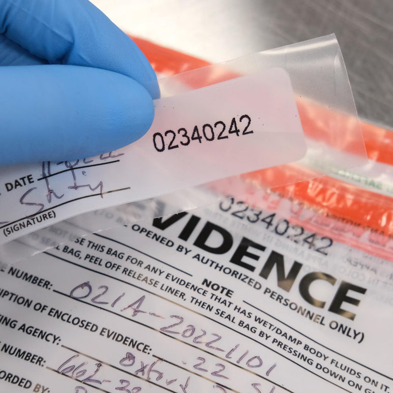 Small Plastic Evidence Bag, 6 x 10 inches, 100pk Small