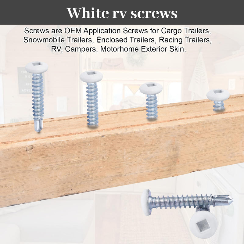 8x1 pan Head Metal rv Screws - Polar White self Drilling Screws Trailer Deck scre-ws - Square Drive Self Tap Drill Scre-ws (250 Pack) 250 Pack