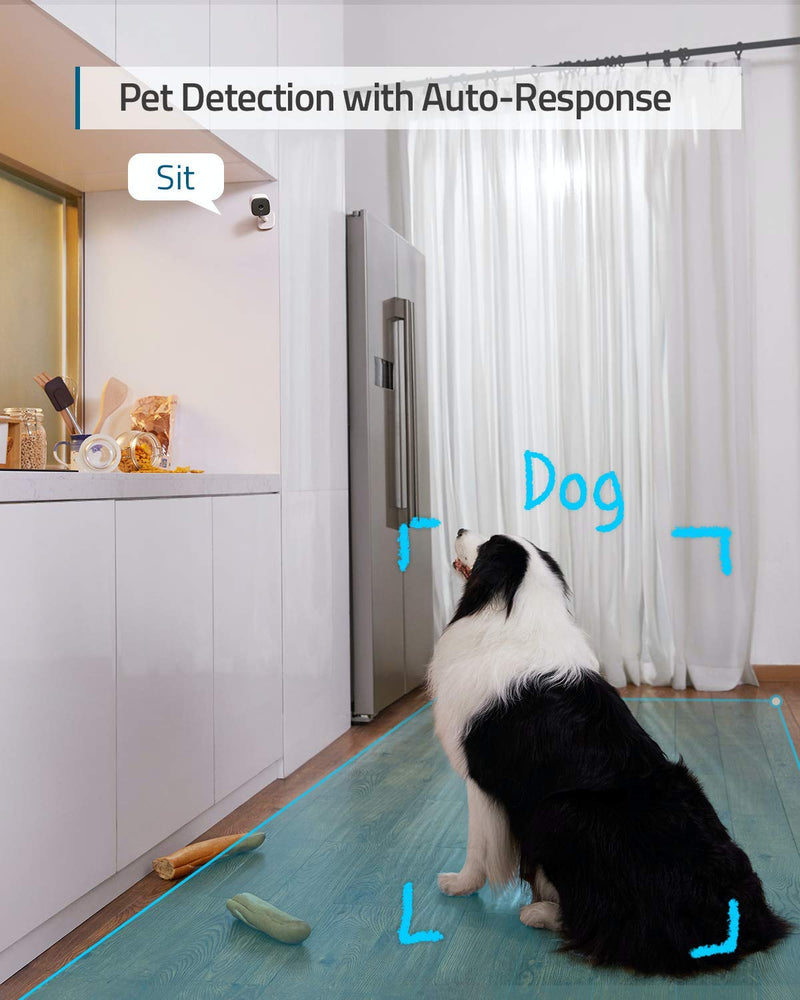 eufy Security Indoor Cam C120 & P24, 2K, Indoor Security Camera, Wi-Fi Plug-in Camera, Human & Pet AI, Voice Assistant Compatibility, Night Vision, HomeBase not Compatible