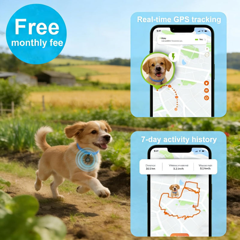 GPS Tracker for Dogs, Smart Collar with Real-Time Location - Pet Location Tracker with Holder No Monthly Fee/No SIM Card, Works with iOS Find My, Ultra-Slim, IP68 Waterproof, Reliable Performance