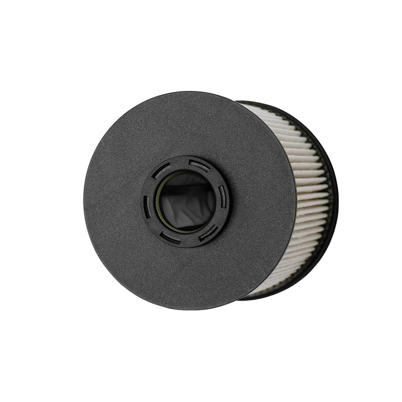 TP1015 Fuel Filter for 6.6L Duramax Diesel Compatible with 2017-2025 Chevy Silverado/GMC Sierra 2500HD 3500HD, 2014-2019 Chevy Cruze | Replaces# 23304096, 13539108, 23456595, with Seals (2 Pack) 2 Pack