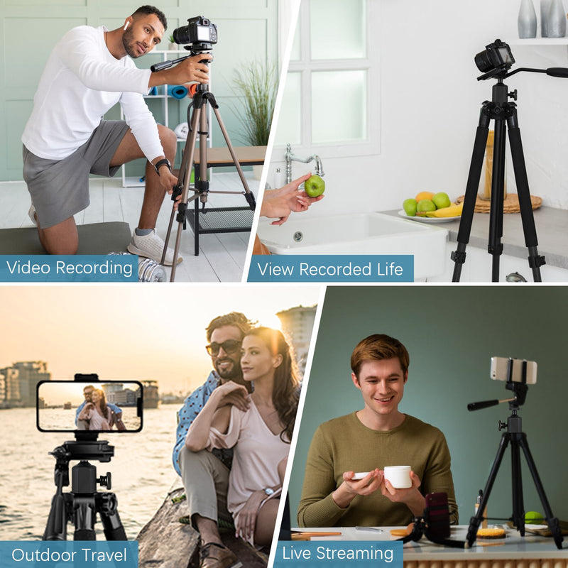 Mini Ball Heads Universal Tripod Ball Head Camera Screw Mount, 360 Degrees Rotatable Tilt with 1/4 inch Screew for Cameras Monopods Camcorder LED Light Stand, Loads to 10lbs, Black (2) 2
