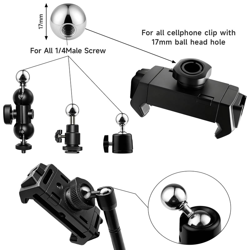 30Pack Camera Tripod Screw Mount Kit, 1/4" & 3/8" Camera Screw Adapter | with Ball Head, Cold Shoe Mount, Phone Clamp, Flash Hot Shoe Adapter for Camera, Tripod, Ring Light, Mic & LED Video Light