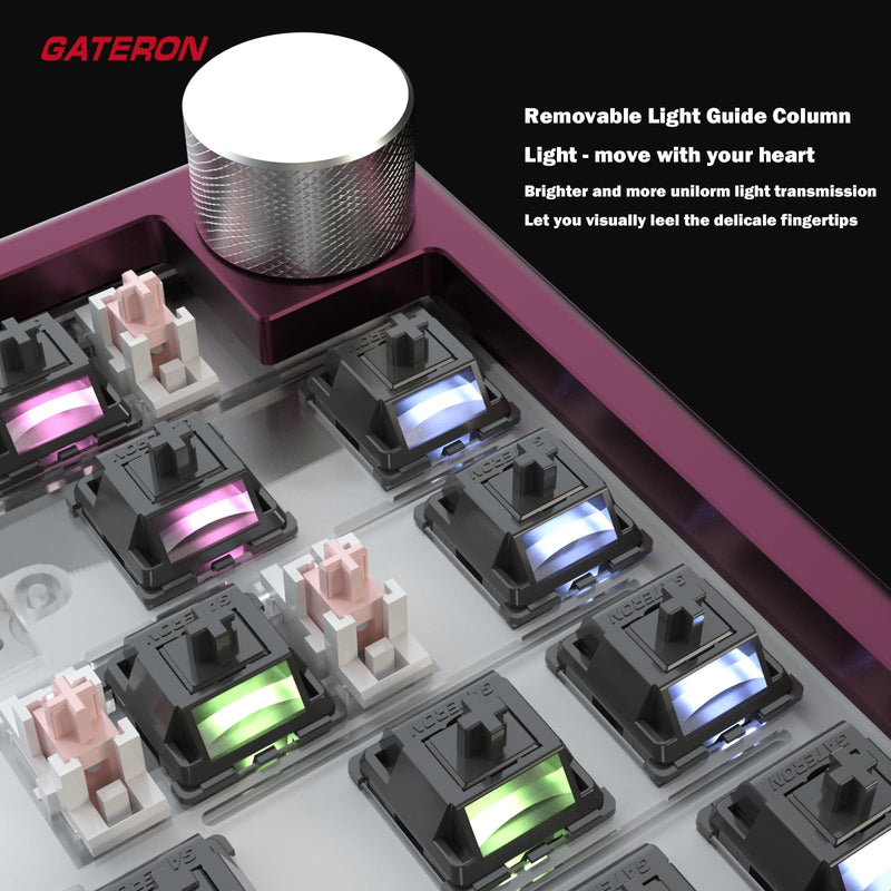 Gateron Ghost Switches for Mechanical Gaming Keyboard,5-Pin 48gf RGB SMD Dual-Stage Spring Pre-Lubed Full POM Linear Switches(90PCS) 90Pcs Ghost switch with light guide