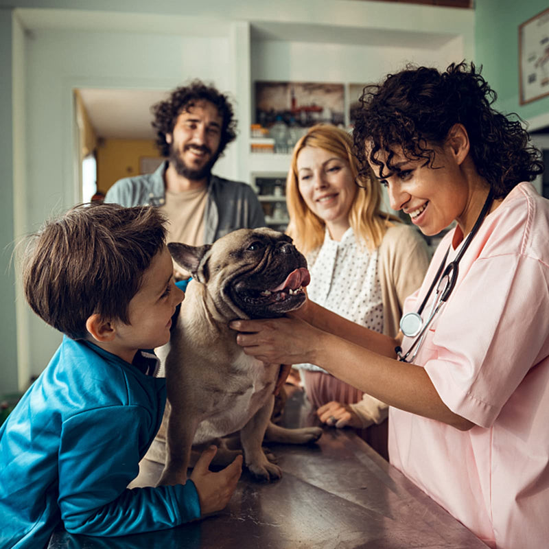 6pcs Fecal Diagnostic Kit, Animal Pet Stool Sample Collection Kit Cat Dog Stool Test, Fecalyzer for Stool Sample Fecal Test 6
