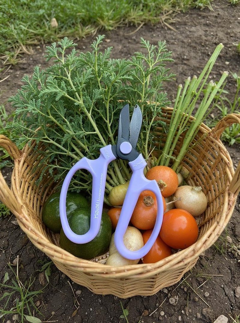 Garden Pruning Shears Scissors Carbon Steel Blades 6.7 In, Snapdragon - Lavender 6.7 inch Lavender