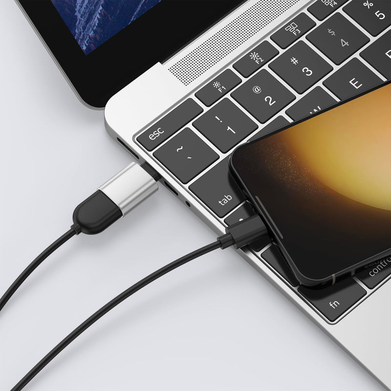 6 Pack USB C to USB Adapter, USB Type C Male to USB A 3.0 Female OTG Adapter for iPhone 17 16 15 Pro Max, MacBook Pro, Flash Thumb Drive, iPad, Samsung Galaxy, XPS and More Type C Device (Silver) Silver