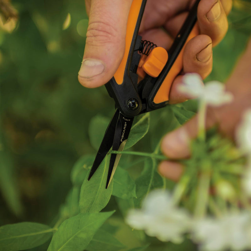 Fiskars 6" Pruning Scissors (2-Pack) for Flowers, Buds, Weeds and Small Plants, Garden Snips with Resin Resistant Nonstick Stainless Steel Blades, Gardening Trimmers with Comfortable Handle Non-Stick Snips (2-Pack)