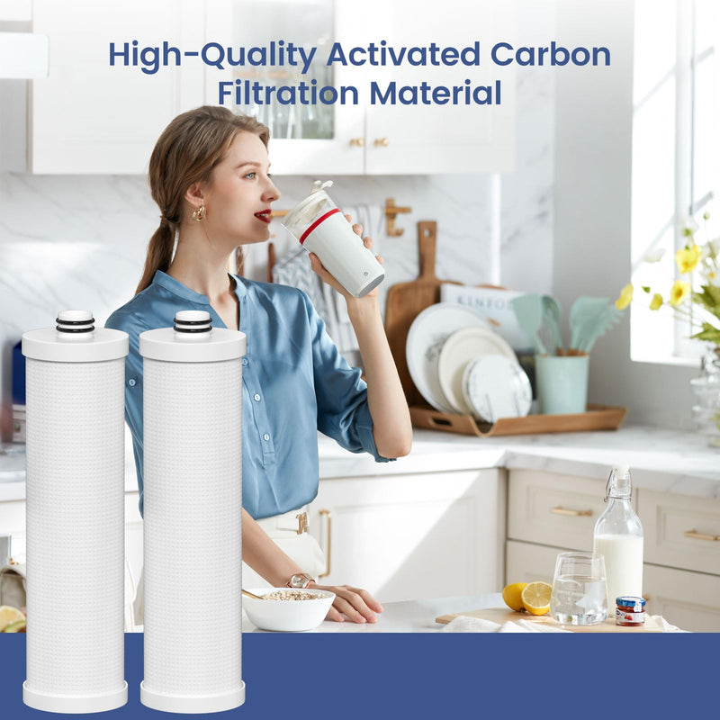 FZ-2 Replacement Filter Cartridge Compatible with Frizzlife MP99, MK99, MS99 Water Filter & MV99 RV Filter, 2 Packs