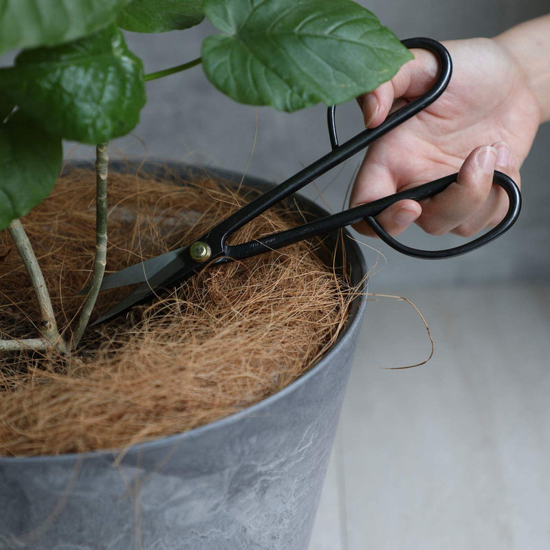Wazakura Twig Bonsai Scissors Made in Japan 8-1/4inch(210mm), Japanese Bonsai Garden Tools, Hasami Pruning Shears - Long Handle Black 210.0 Millimeters Twig Long Handle Black