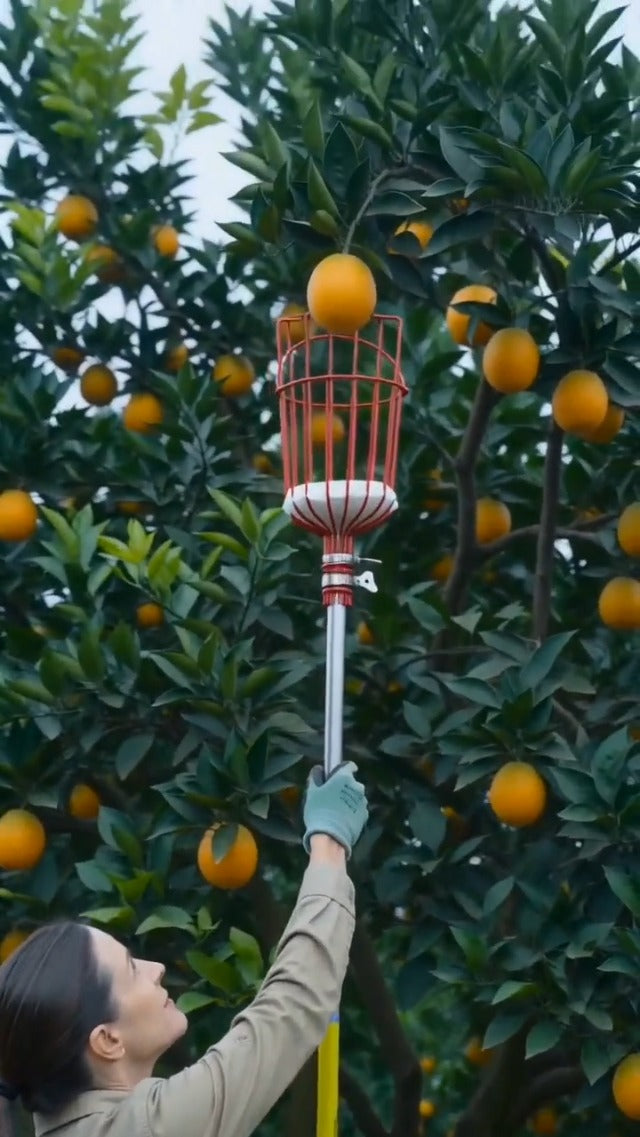 GLOGLOW Fruit Picker Basket, Detachable, Fits 3cm Diameter Picker Pole Red