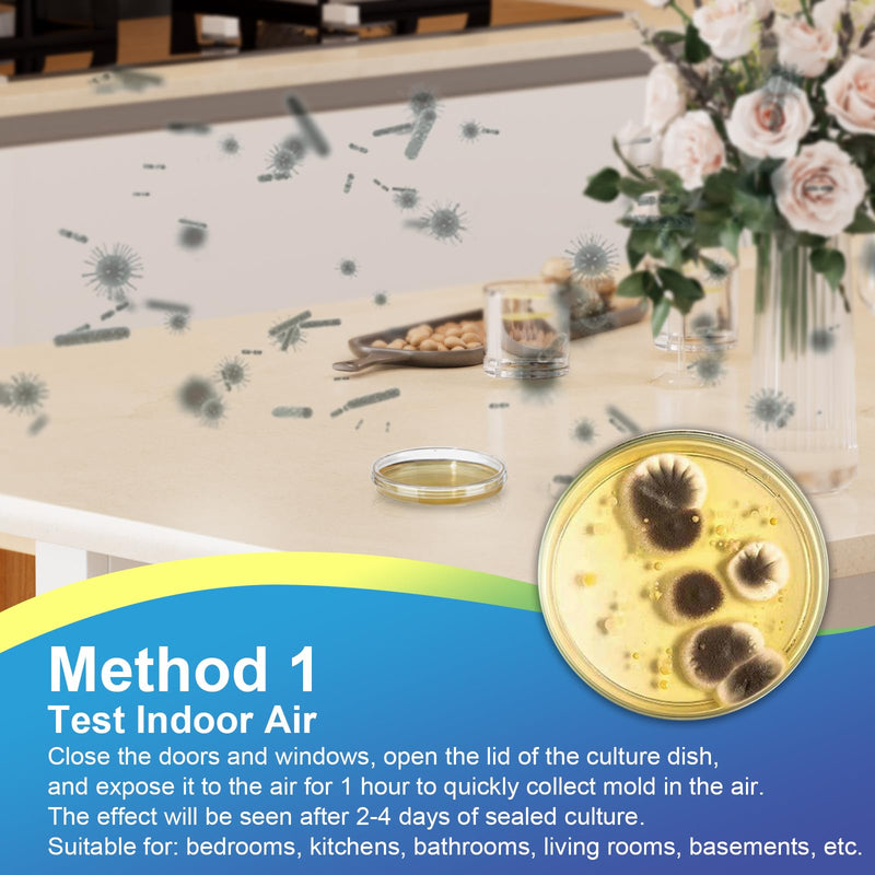 Mold Test Kit for Home- DIY Mold Detector for Home, 12 At Home Mold Air Test Kits - Test HVAC、 Home Surfaces、Indoor Air Quality, Easy Black Mold Testing Kit Includes Detailed Mold Identification Guide 12 pack
