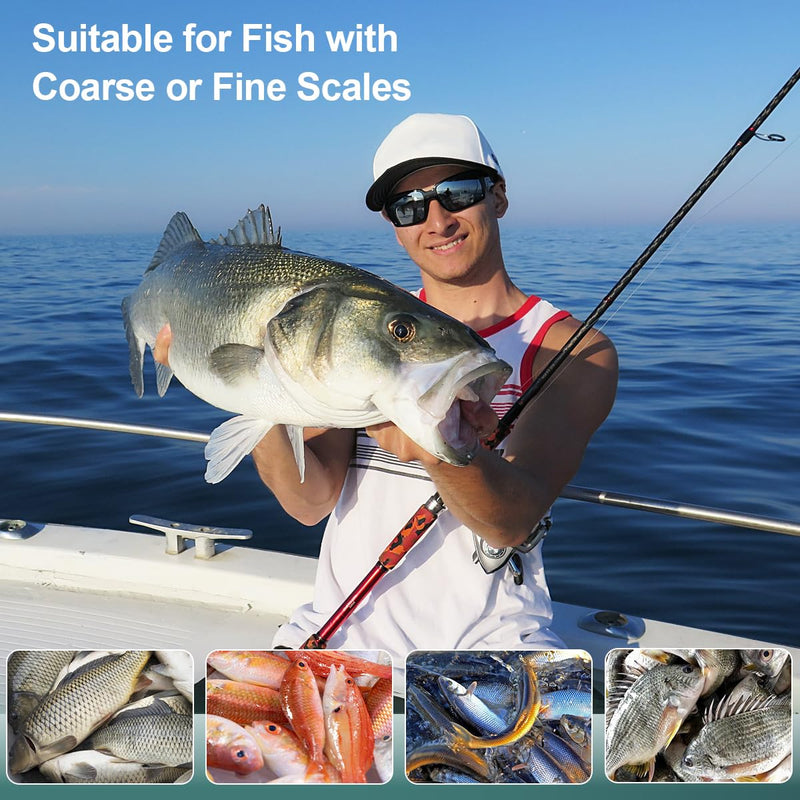 Fish Scaler Set, Premium Fish Descaler Tool, Stainless Steel Fish Scale Remover with Serrated Sawtooth Ergonomic Handle for Kitchen, Seafood Markets (Fish Scaler + 2 Pack Fish Bone Tweezers) Fish Scaler 7.52" + 2 Pack Tweezers