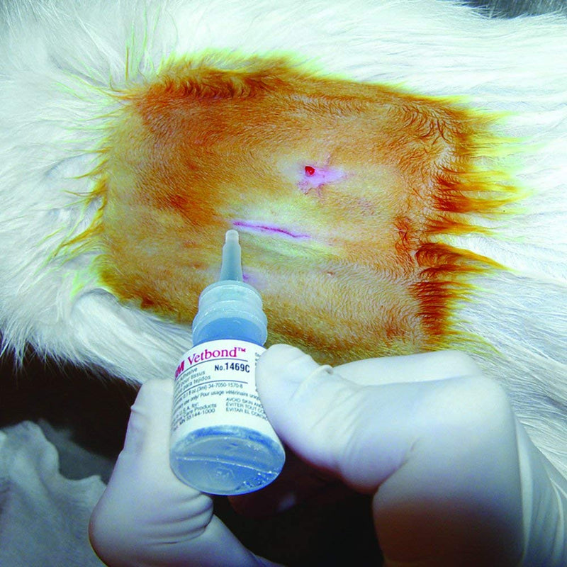 3M Vetbond Tissue Adhesive 0.1 oz (3 mL) – Fast-Acting Veterinary Wound Glue for Pets, Surgical-Grade Skin Adhesive Sealant with Blue Tint for Precise Application, Includes Reusable Applicator Tips 1-Pack