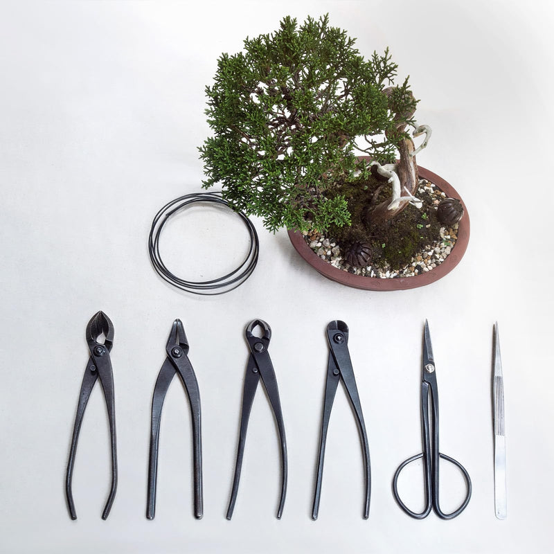 Bonsai Tool - 11 Inch Stainless Steel Knob Cutter, Bonsai Tree Plants Modeling Tools, Applying to Gardening Pruning Knobs/Tumors (280mm, Silver) 11"