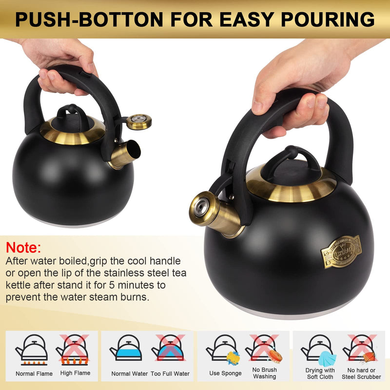 Tea Kettle for Stovetop, Food Grade Stainless Steel Water Kettle, Tea Pot for Home & Kitchen, 3.1 Quart Black