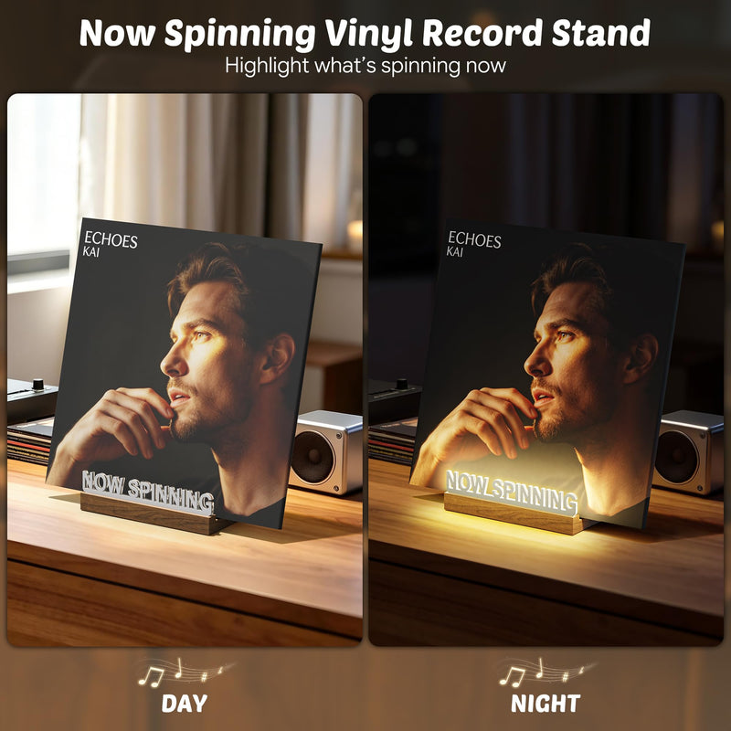 Vinyl Record Stand with Adjustable Warm White Lights Silver