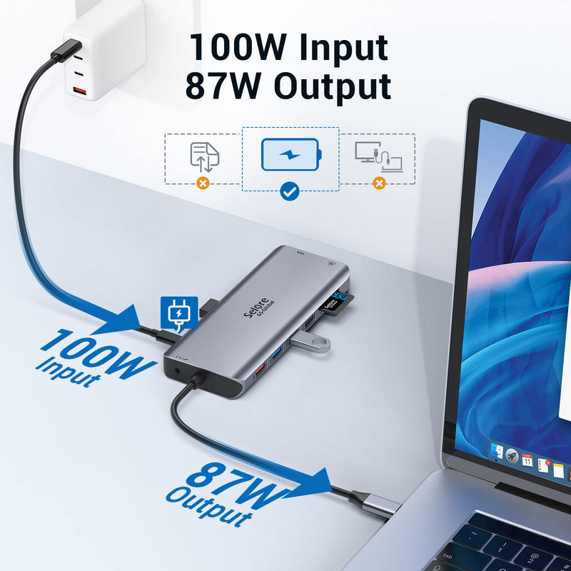 Selore&S-Global USB C to Dual HDMI Adapter 4K @ 60Hz