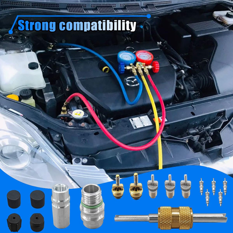 17PCS Car Air Conditioning Valve Core Kit, R12 R134A Teflon Seal Cap Valve Kit with Removal Tool for High Low-Pressure A/C Service Port, Car & HVAC AC Refrigerant Tool Black