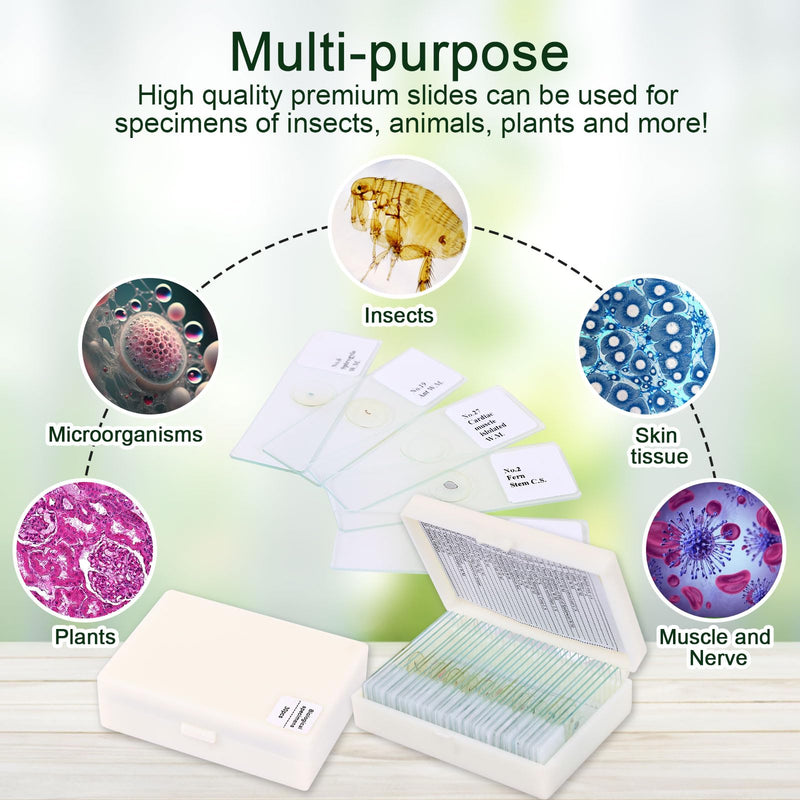120 Microscope Slides with Specimens, Plant, Insect, Animal, Algae Slide Set for Biological Science Laboratory Basic Biological Science Education 120pcs