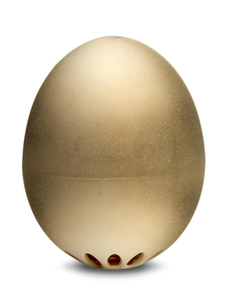 The Golden BeepEgg – Egg Timer for Boiling Eggs – Musical Egg Cooker for Soft, Medium, Hard Boiled Eggs – Food Safe – Singing Floating Egg Timer – Egg Cooker for 3 Levels of Doneness - Brainstream Yellow