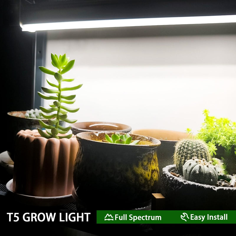F24T5/865 6 Pack 22 Inch T5 Fluorescent Grow Light Bulbs, 24W 6500K Full Spectrum, 2000 Lumens, High Output (HO) Bulbs for Indoor Plants, Seedlings, Veg Growing, Sunlight White, Energy Efficient 24.0