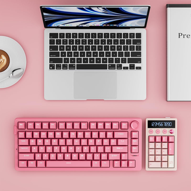 RK ROYAL KLUDGE M20 Wireless Number Pad, Mechanical Numpad with LCD Display, PC Numpad & Calculator Modes, Programmable Numeric Keypad, Bluetooth/2.4G/Wired, RGB Hot-Swappable for Win/Mac Pink Linear Creamy Switch