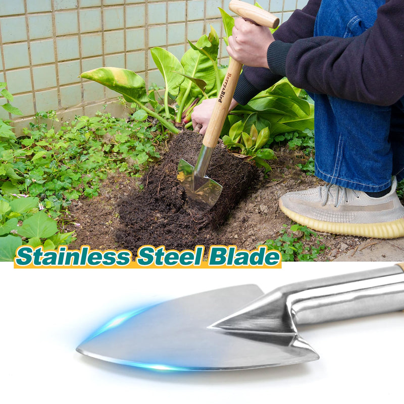 Berry&Bird Perennial Spade, 21.6''Long Trowel for Gardening Root Cutting Tool with Sharp Stainless Steel Blade, Wooden Handle Small Shovel Hand Edger Garden Tool for Planting, Digging & Transplanting