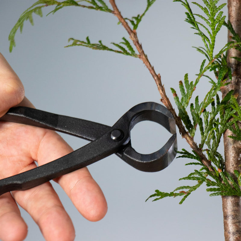 Wazakura Hand Forged Bonsai Root Cutter MADE IN JAPAN 6.7 inch (170 mm), Black Carbon Steel Bonsai Tree Cutter for Branch and Roots, Multipurpose Japanese Gardening Tools (Wave-Grip) Wave-grip