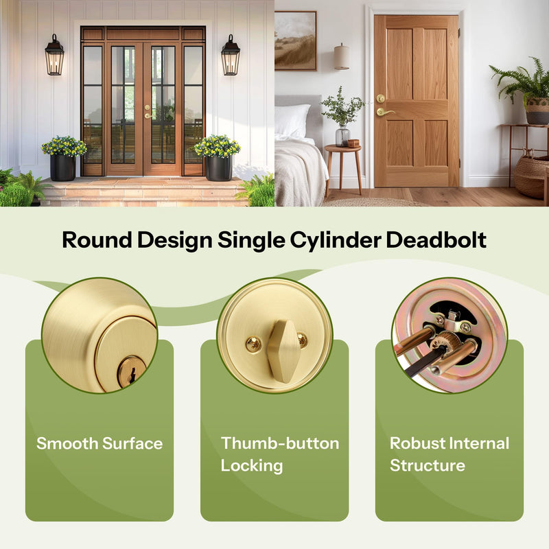 Moquin Gold Deadbolt Lock for Exterior Door, Single Cylinder Deadbolt with Key, One-Sided Deadbolt Lock, Satin Brass