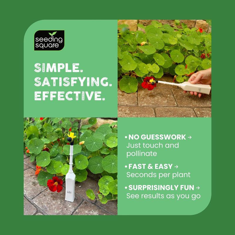 Seeding Square Handheld Pollinator Tool for Vegetable Gardening – Soft Silicone Brush, Manual Gardening Tool for Indoor and Outdoor Use, Boosts Garden Yields