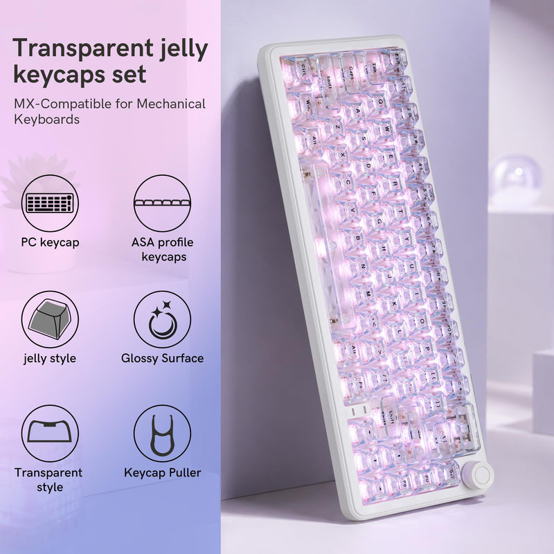 dagaladoo ICE Clear keycaps,Translucent keycaps Jelly,Shine Throug Key caps | Transparent keyboard keycaps Glossy,ASA Profile custom Keycaps for Mx Switches Mechanical Keyboard(White,126key) White ICE
