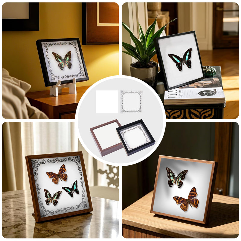 Insect Specimen Tools Kit - EVA Foam Pinning Board, Coordinate Paper, Wings Pressing Paper, Insect Pins & Butterfly Pins, Complete Entomology Kit for Beginners (Black Display Case Box Kit) Black Display Case Box Kit